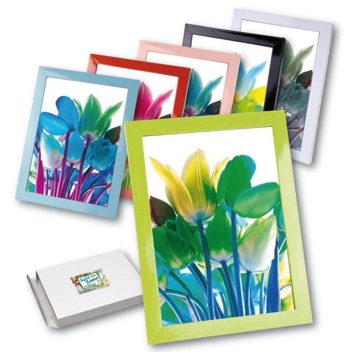 Art. 13452 Cornice Porta Fotografia